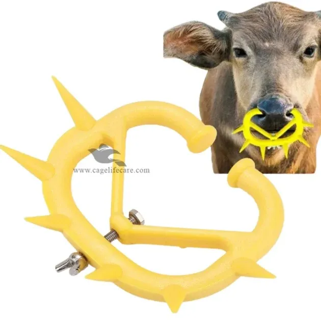 Photograph of Spiked Calf Weaning Ring