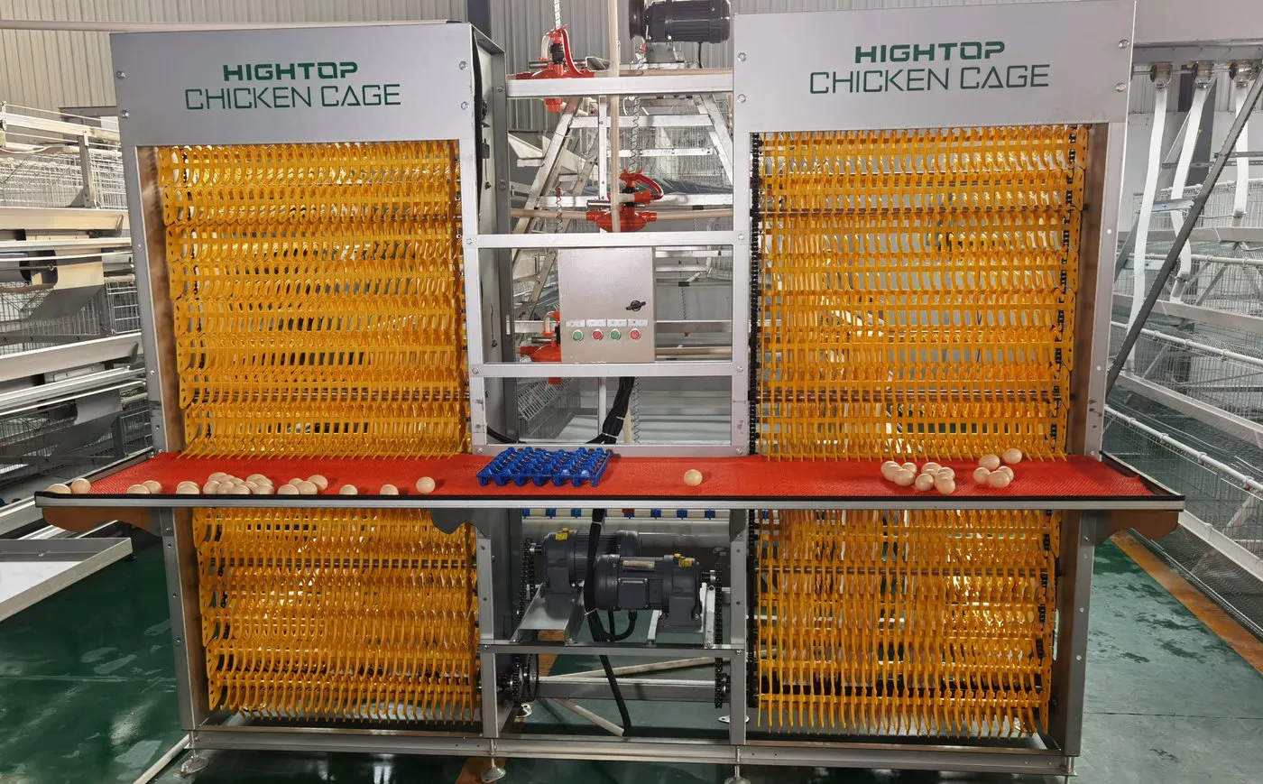 Photograph of Battery Cage