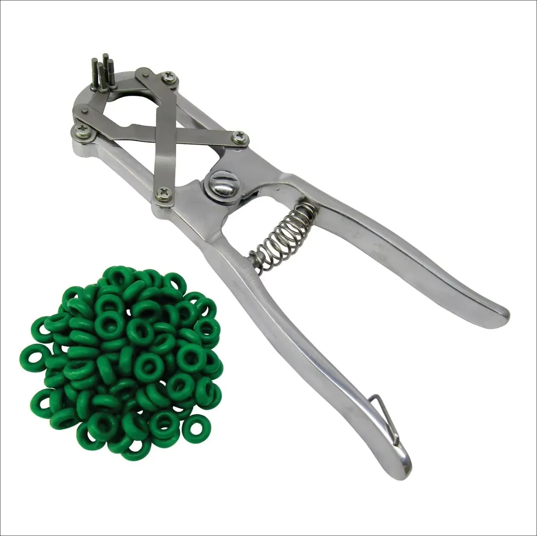 Photograph of Elastrator / Castration