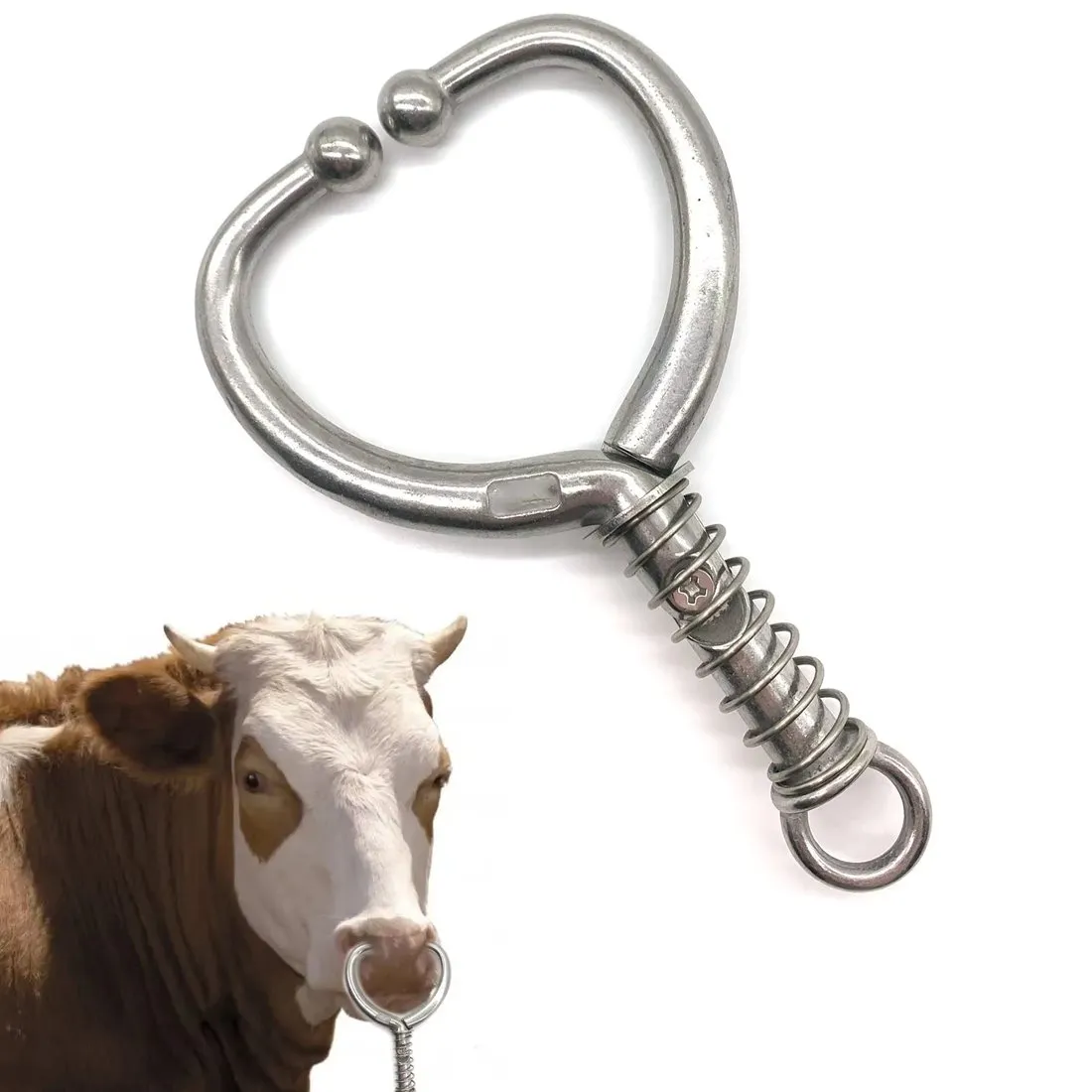 Photograph of Bull Nose Ring