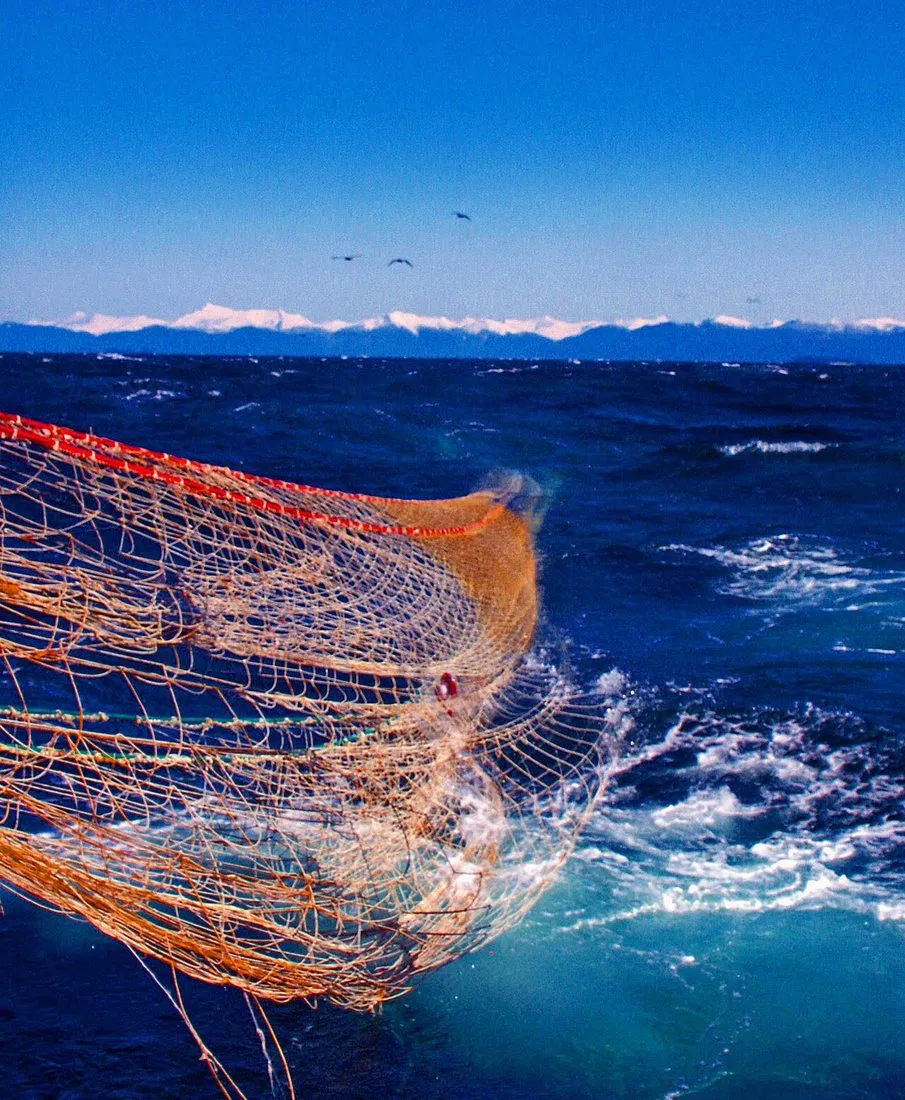 Photograph of Trawl Net / Gill Net