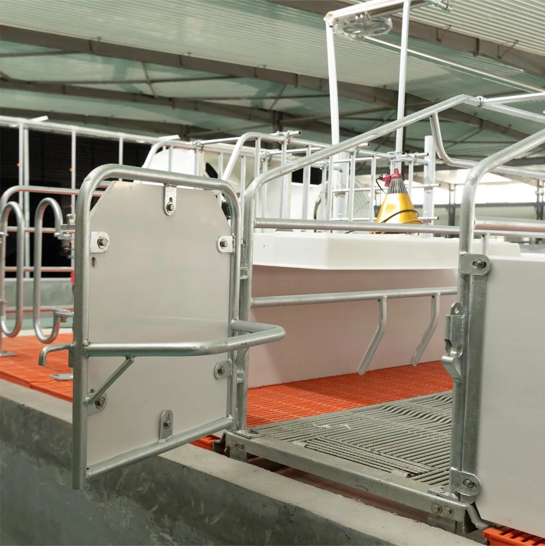New Pig House Galvanized Farrowing Crate for Sows and Piglets with 220V 20-Year 