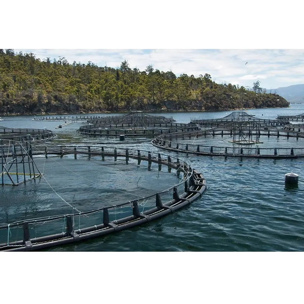 HDPE Ocean Aquaculture Fish Farming Net Cage in Open Sea Alibaba.com