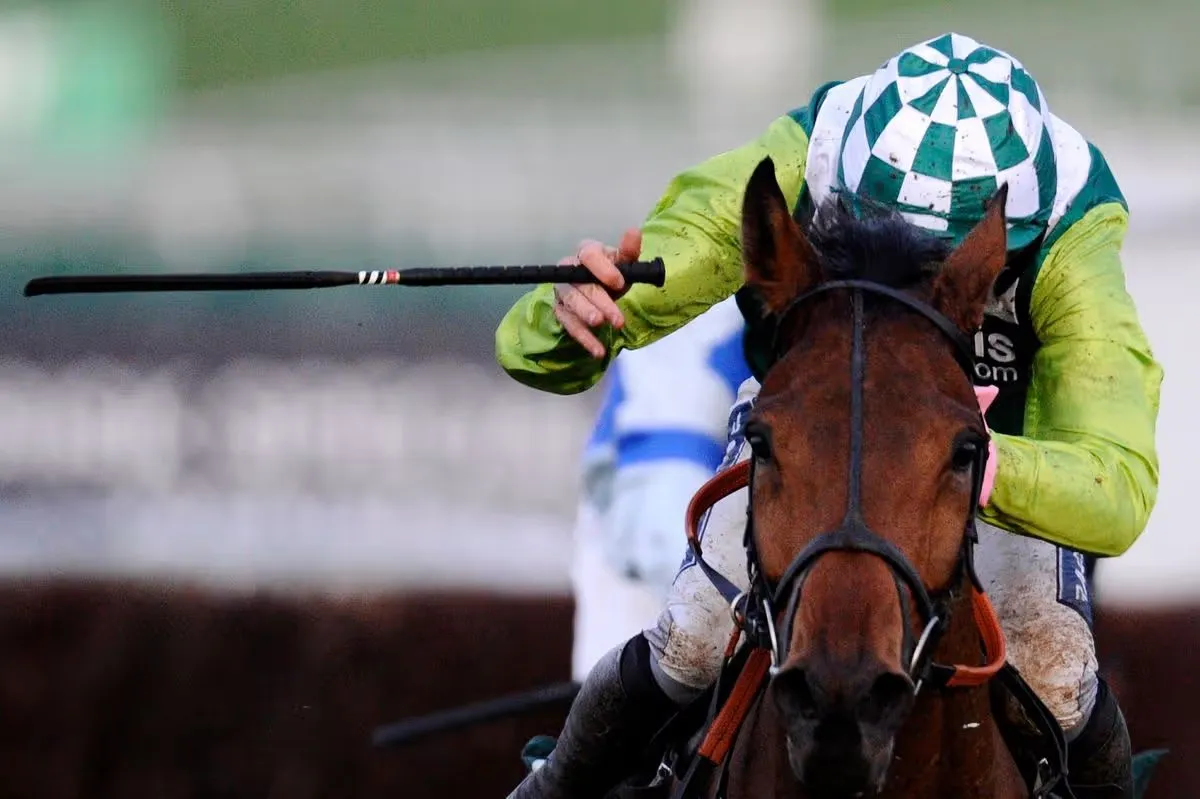 Jockeys win concession over whip changes as backhand only rule removed by BHA - 